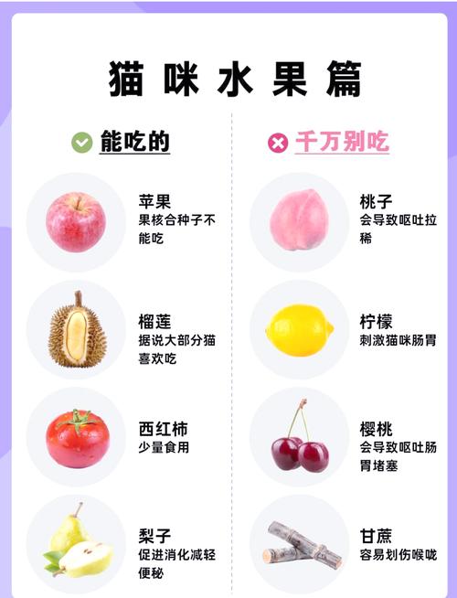 猫咪不能吃什么水果_猫咪不能吃什么水果?-第2张图片-后鲨宠物