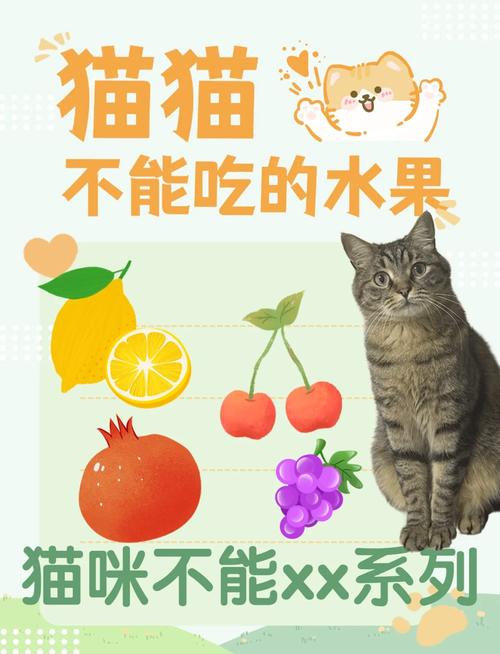 猫咪不能吃什么水果_猫咪不能吃什么水果?-第4张图片-后鲨宠物