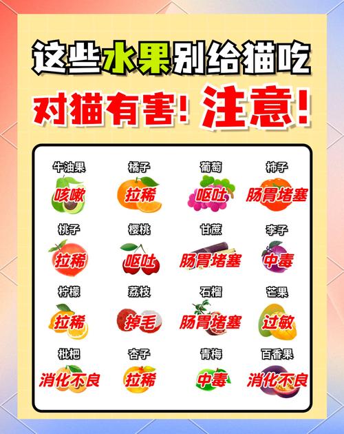猫咪不能吃什么水果_猫咪不能吃什么水果?-第5张图片-后鲨宠物