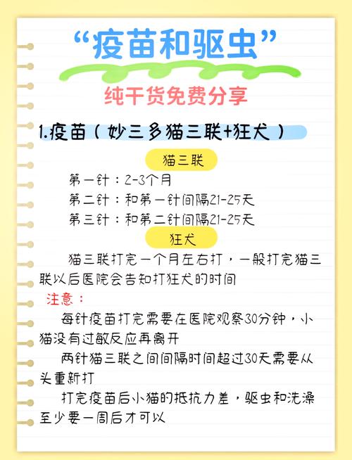 猫咪疫苗打几针,猫咪疫苗打几针可以洗澡-第2张图片-后鲨宠物 猫咪疫苗打几针,猫咪疫苗打几针可以洗澡-第2张图片-后鲨宠物