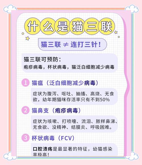 猫咪疫苗打几针,猫咪疫苗打几针可以洗澡-第4张图片-后鲨宠物 猫咪疫苗打几针,猫咪疫苗打几针可以洗澡-第4张图片-后鲨宠物