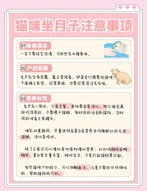 怀孕养猫咪有影响吗,怀孕了养小猫有影响吗?-第4张图片-后鲨宠物 怀孕养猫咪有影响吗,怀孕了养小猫有影响吗?-第4张图片-后鲨宠物