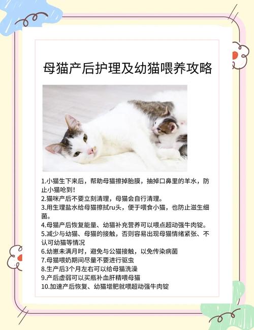 怀孕养猫咪有影响吗,怀孕了养小猫有影响吗?-第5张图片-后鲨宠物 怀孕养猫咪有影响吗,怀孕了养小猫有影响吗?-第5张图片-后鲨宠物