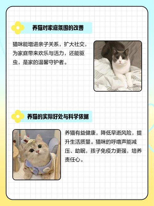 怀孕养猫咪有影响吗,怀孕了养小猫有影响吗?-第6张图片-后鲨宠物 怀孕养猫咪有影响吗,怀孕了养小猫有影响吗?-第6张图片-后鲨宠物