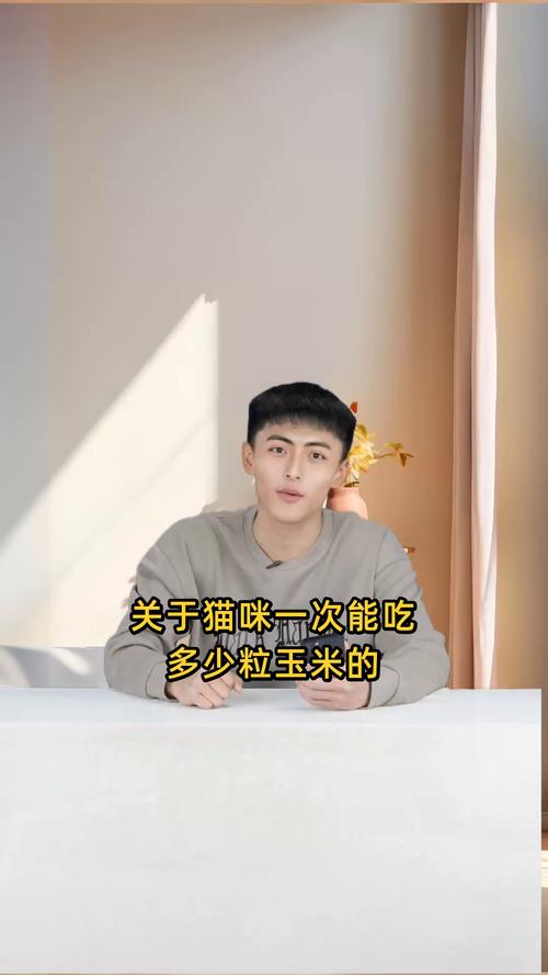 猫咪可以吃玉米粒吗,猫咪能不能吃玉米粒?-第1张图片-后鲨宠物 猫咪可以吃玉米粒吗,猫咪能不能吃玉米粒?-第1张图片-后鲨宠物