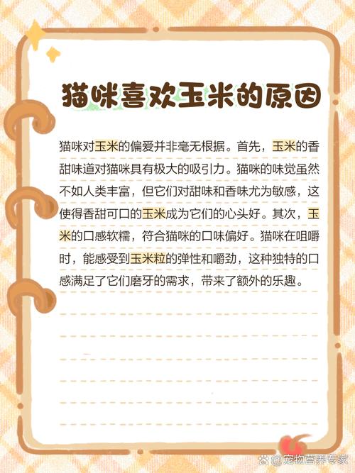 猫咪可以吃玉米粒吗,猫咪能不能吃玉米粒?-第2张图片-后鲨宠物 猫咪可以吃玉米粒吗,猫咪能不能吃玉米粒?-第2张图片-后鲨宠物