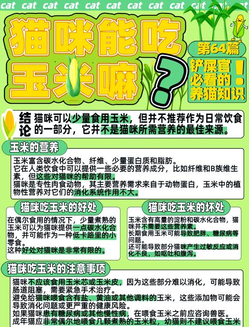 猫咪可以吃玉米粒吗,猫咪能不能吃玉米粒?-第5张图片-后鲨宠物 猫咪可以吃玉米粒吗,猫咪能不能吃玉米粒?-第5张图片-后鲨宠物