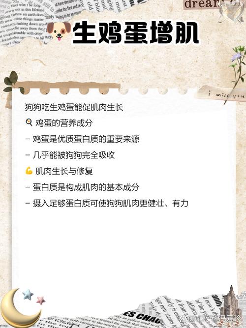 狗狗吃生鸡蛋好不好,狗狗吃生鸡蛋好不好?-第4张图片-后鲨宠物 狗狗吃生鸡蛋好不好,狗狗吃生鸡蛋好不好?-第4张图片-后鲨宠物