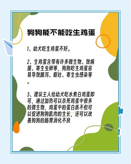 狗狗吃生鸡蛋好不好,狗狗吃生鸡蛋好不好?-第5张图片-后鲨宠物 狗狗吃生鸡蛋好不好,狗狗吃生鸡蛋好不好?-第5张图片-后鲨宠物