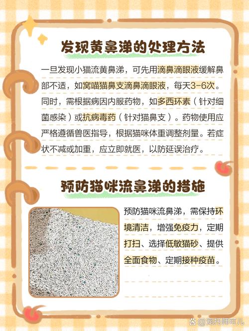  猫咪流黄色鼻涕，猫咪流黄色鼻涕会传染人吗-第1张图片-后鲨宠物