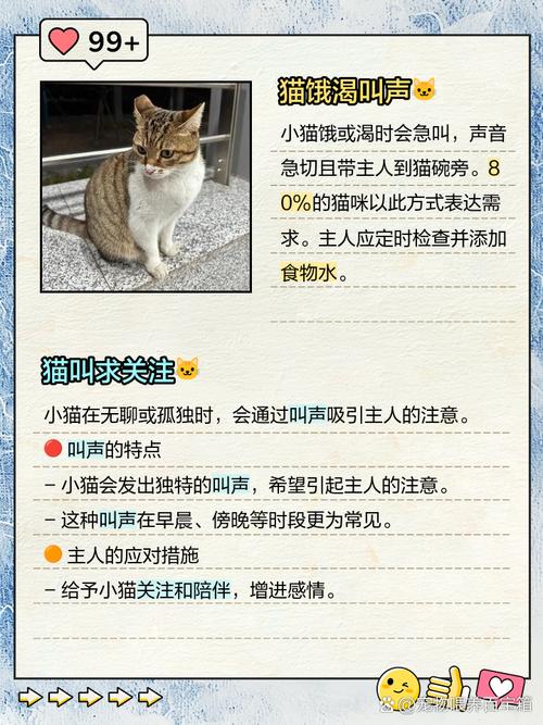 猫咪早上一直叫怎么办_猫咪早上一直叫怎么办啊-第2张图片-后鲨宠物 猫咪早上一直叫怎么办_猫咪早上一直叫怎么办啊-第2张图片-后鲨宠物