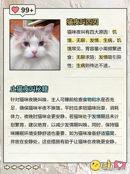 猫咪早上一直叫怎么办_猫咪早上一直叫怎么办啊-第3张图片-后鲨宠物 猫咪早上一直叫怎么办_猫咪早上一直叫怎么办啊-第3张图片-后鲨宠物