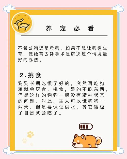 狗狗不吃不喝怎么回事_狗狗不吃不喝是什么原因造成的-第1张图片-后鲨宠物