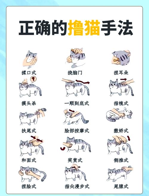 怎样判断猫咪是否怀孕_怎么确定猫咪是否怀孕-第2张图片-后鲨宠物 怎样判断猫咪是否怀孕_怎么确定猫咪是否怀孕-第2张图片-后鲨宠物