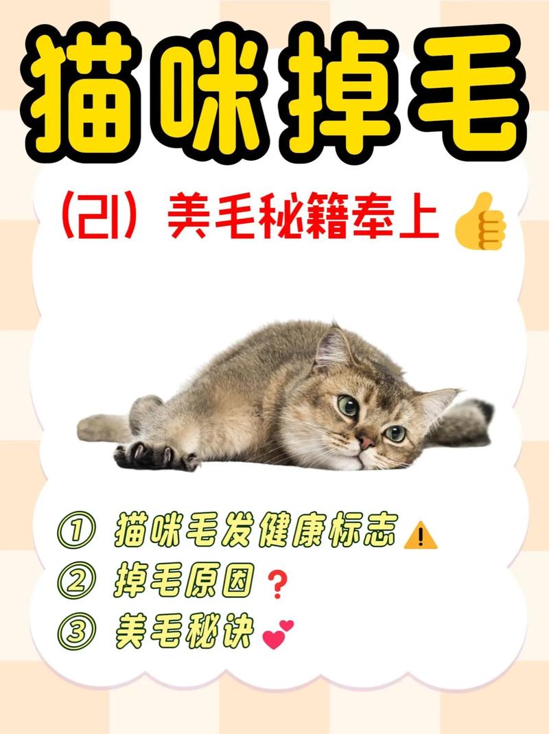 怎样防止猫咪掉毛，如何有效防止猫咪掉毛？-第1张图片-后鲨宠物