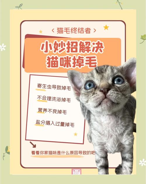 怎样防止猫咪掉毛，如何有效防止猫咪掉毛？-第3张图片-后鲨宠物