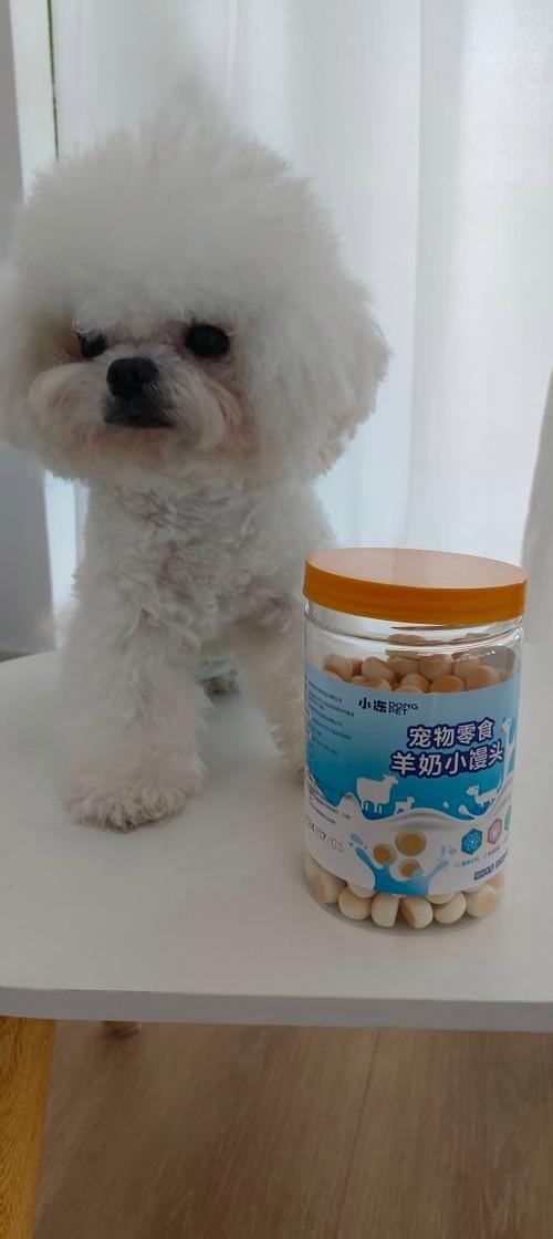  两个月的狗狗吃什么，两个月的狗狗感冒了吃什么药