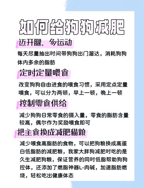 怎么给狗狗减肥,怎么给狗狗减肥最快?-第2张图片-后鲨宠物 怎么给狗狗减肥,怎么给狗狗减肥最快?-第2张图片-后鲨宠物