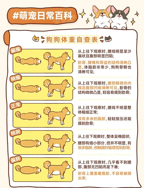 怎么给狗狗减肥,怎么给狗狗减肥最快?-第3张图片-后鲨宠物 怎么给狗狗减肥,怎么给狗狗减肥最快?-第3张图片-后鲨宠物