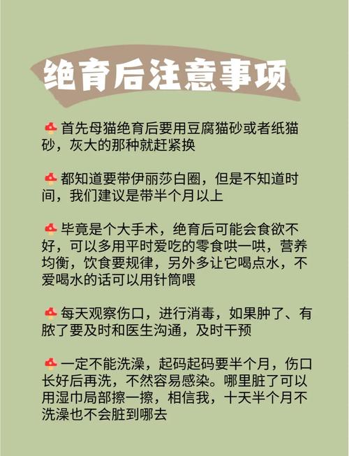 猫咪绝育前注意事项_猫咪绝育前需要注意-第4张图片-后鲨宠物