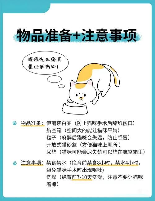 猫咪绝育前注意事项_猫咪绝育前需要注意-第5张图片-后鲨宠物