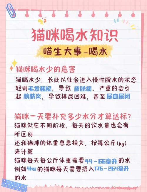 猫咪不爱喝水怎么办_狗狗不吃东西只喝水是怎么回事-第2张图片-后鲨宠物 猫咪不爱喝水怎么办_狗狗不吃东西只喝水是怎么回事-第2张图片-后鲨宠物