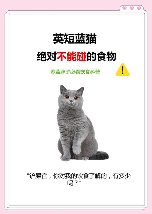 猫咪不爱喝水怎么办_狗狗不吃东西只喝水是怎么回事-第4张图片-后鲨宠物 猫咪不爱喝水怎么办_狗狗不吃东西只喝水是怎么回事-第4张图片-后鲨宠物