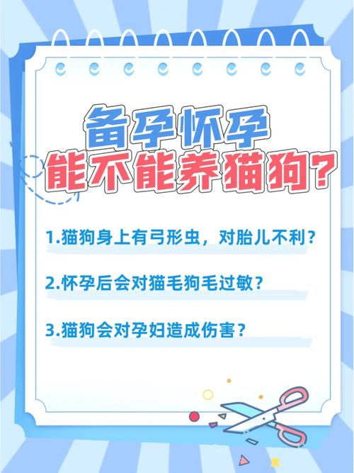 怀孕后能养狗狗吗_怀孕后能养狗狗吗冬天-第4张图片-后鲨宠物 怀孕后能养狗狗吗_怀孕后能养狗狗吗冬天-第4张图片-后鲨宠物