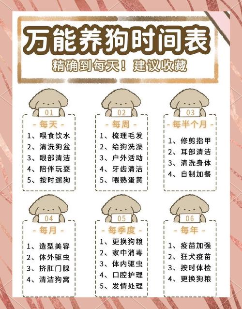 狗狗多大可以送人,狗狗多大可以送人养?-第4张图片-后鲨宠物 狗狗多大可以送人,狗狗多大可以送人养?-第4张图片-后鲨宠物