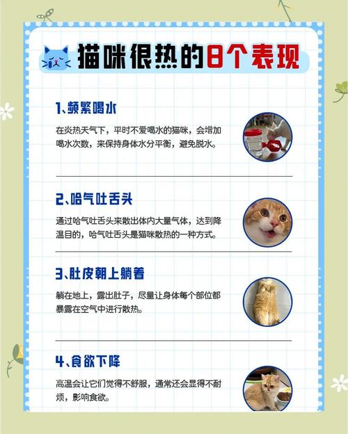 猫咪着凉了怎么办,猫咪着凉了怎么办?-第4张图片-后鲨宠物 猫咪着凉了怎么办,猫咪着凉了怎么办?-第4张图片-后鲨宠物
