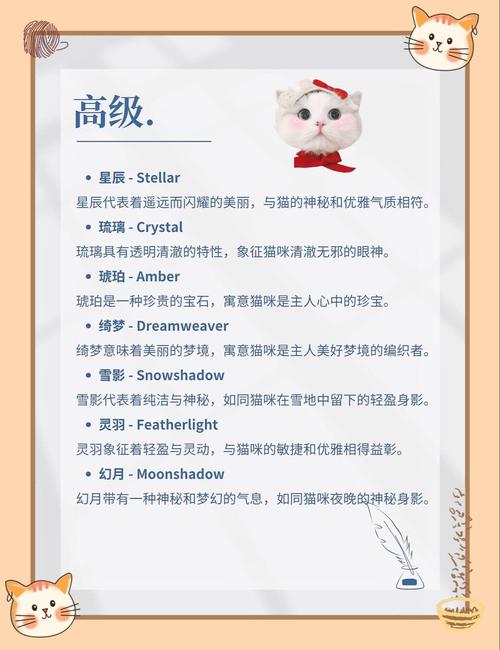 猫咪英文名字大全可爱_猫咪英文名字大全可爱两个字-第1张图片-后鲨宠物 猫咪英文名字大全可爱_猫咪英文名字大全可爱两个字-第1张图片-后鲨宠物