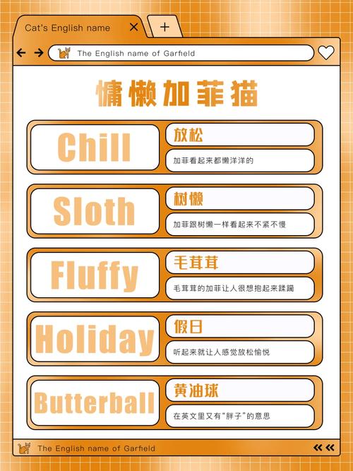 猫咪英文名字大全可爱_猫咪英文名字大全可爱两个字-第3张图片-后鲨宠物 猫咪英文名字大全可爱_猫咪英文名字大全可爱两个字-第3张图片-后鲨宠物