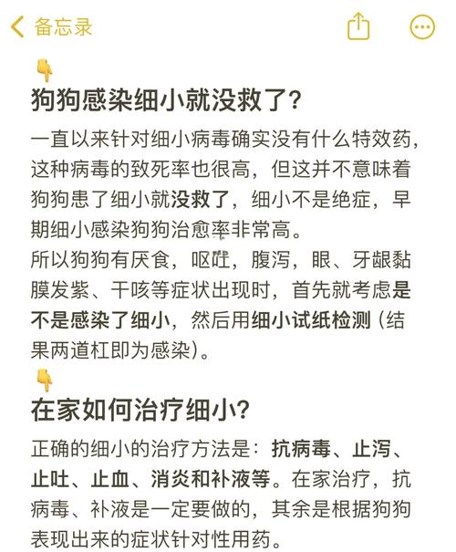 狗狗患细小的症状,狗狗患细小的症状有哪些-第3张图片-后鲨宠物 狗狗患细小的症状,狗狗患细小的症状有哪些-第3张图片-后鲨宠物