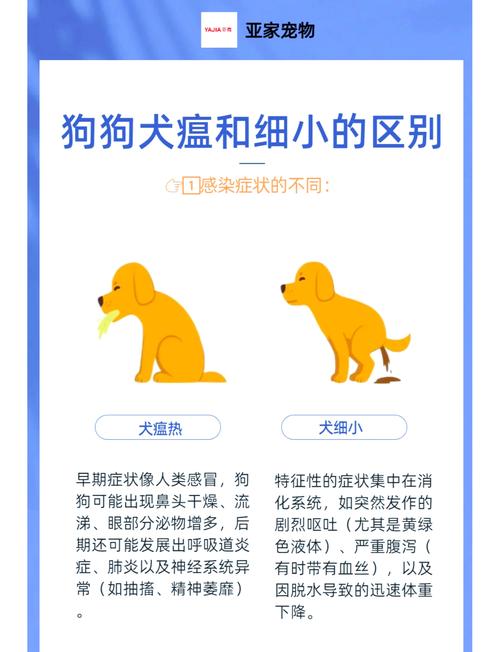 狗狗患细小的症状,狗狗患细小的症状有哪些-第4张图片-后鲨宠物 狗狗患细小的症状,狗狗患细小的症状有哪些-第4张图片-后鲨宠物