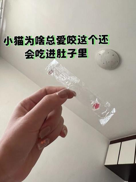 猫咪吃纸怎么办,猫咪吃纸是怎么回事-第3张图片-后鲨宠物 猫咪吃纸怎么办,猫咪吃纸是怎么回事-第3张图片-后鲨宠物