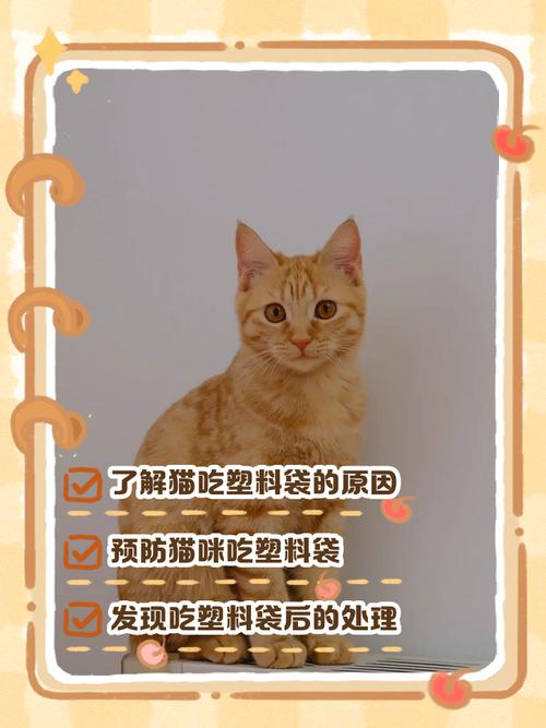 猫咪吃纸怎么办,猫咪吃纸是怎么回事-第5张图片-后鲨宠物 猫咪吃纸怎么办,猫咪吃纸是怎么回事-第5张图片-后鲨宠物
