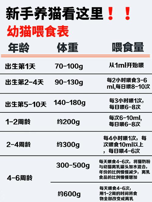 猫咪多大可以吃肉_猫仔多大可以吃肉-第2张图片-后鲨宠物 猫咪多大可以吃肉_猫仔多大可以吃肉-第2张图片-后鲨宠物