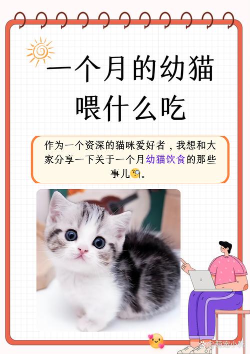 猫咪多大可以吃肉_猫仔多大可以吃肉-第4张图片-后鲨宠物 猫咪多大可以吃肉_猫仔多大可以吃肉-第4张图片-后鲨宠物