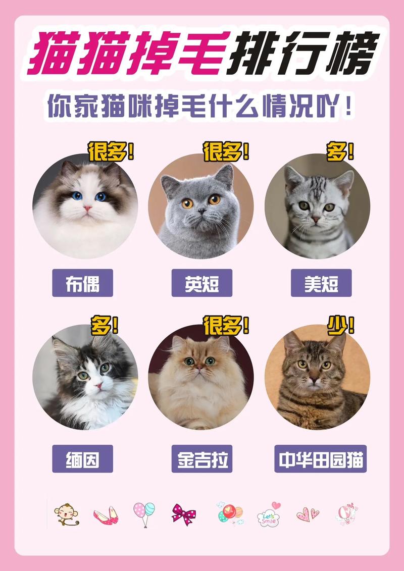 猫咪严重掉毛什么原因,猫 严重掉毛-第3张图片-后鲨宠物 猫咪严重掉毛什么原因,猫 严重掉毛-第3张图片-后鲨宠物