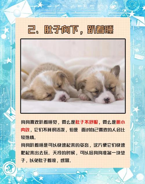  狗狗老爱睡觉怎么回事，狗爱睡觉是什么原因