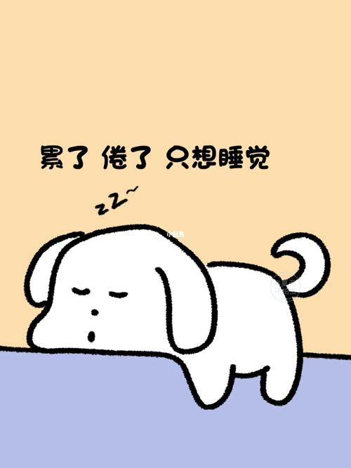 狗狗老爱睡觉怎么回事,狗爱睡觉是什么原因-第2张图片-后鲨宠物 狗狗老爱睡觉怎么回事,狗爱睡觉是什么原因-第2张图片-后鲨宠物