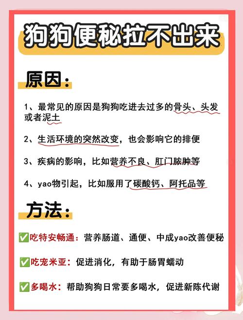 怎么帮助狗狗排便，怎么帮助狗狗排便出来？-第6张图片-后鲨宠物
