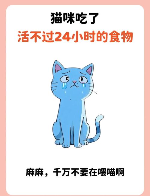 猫咪可以吃瓜子吗_猫咪可以吃瓜子么-第1张图片-后鲨宠物 猫咪可以吃瓜子吗_猫咪可以吃瓜子么-第1张图片-后鲨宠物