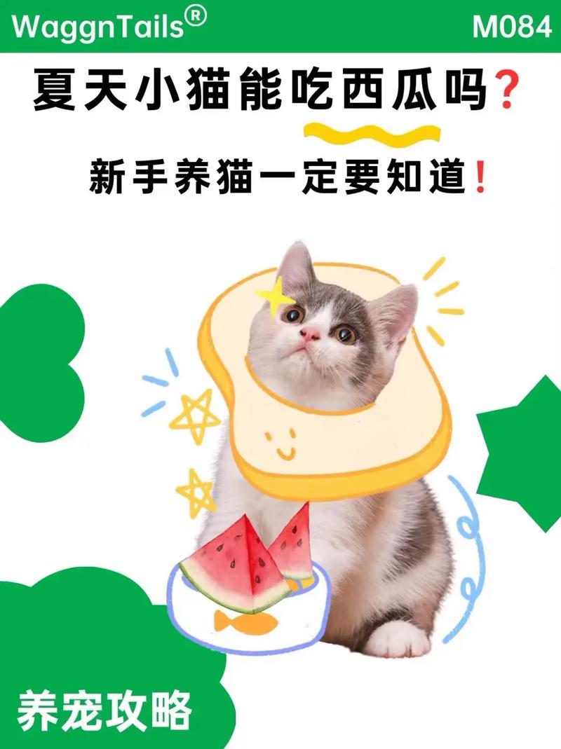 猫咪可以吃瓜子吗_猫咪可以吃瓜子么-第4张图片-后鲨宠物 猫咪可以吃瓜子吗_猫咪可以吃瓜子么-第4张图片-后鲨宠物