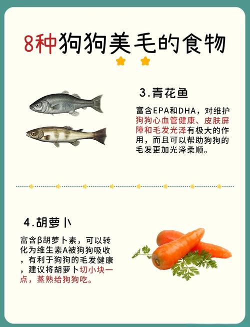 狗狗吃什么对毛发好，狗狗吃什么能毛发亮？