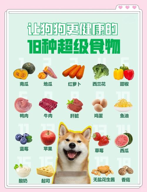 狗狗吃什么对毛发好，狗狗吃什么能毛发亮？-第2张图片-后鲨宠物