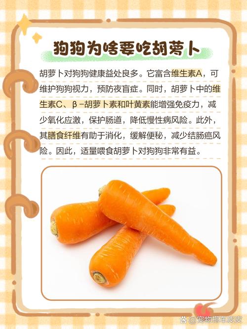  狗狗能生吃胡萝卜吗，狗狗可以吃生的胡萝卜不