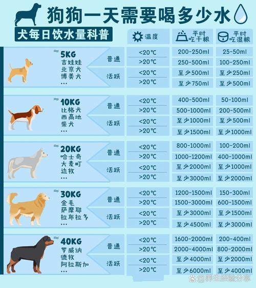 狗狗每天喝多少水，狗狗每天需要喝多少水合适？