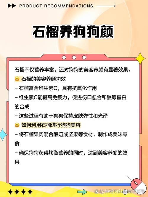 狗狗能吃石榴吗,狗狗能吃石榴吗籽能吃吗-第3张图片-后鲨宠物 狗狗能吃石榴吗,狗狗能吃石榴吗籽能吃吗-第3张图片-后鲨宠物