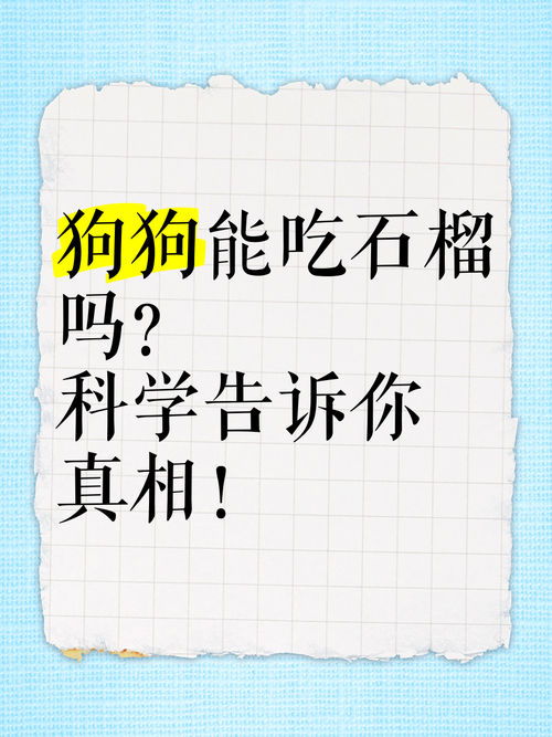 狗狗能吃石榴吗,狗狗能吃石榴吗籽能吃吗-第4张图片-后鲨宠物 狗狗能吃石榴吗,狗狗能吃石榴吗籽能吃吗-第4张图片-后鲨宠物